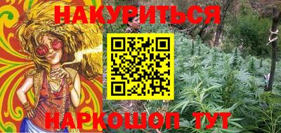 прущие грибы Будённовск