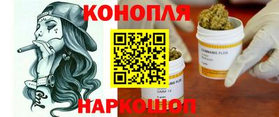 прущие грибы Будённовск