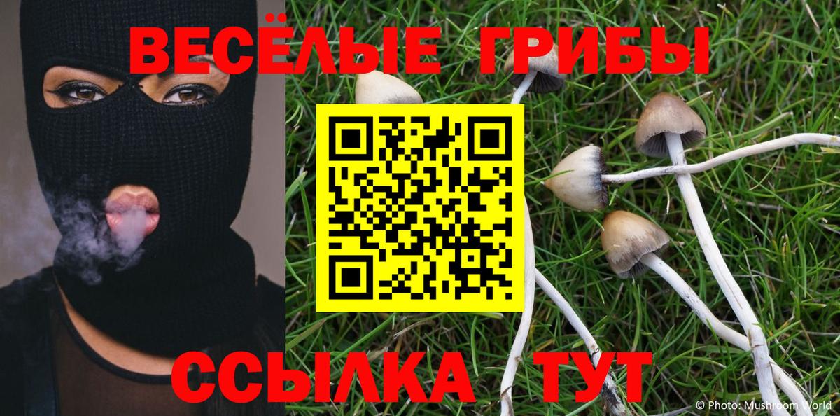 Псилоцибиновые грибы Psilocybine cubensis Рыбинск