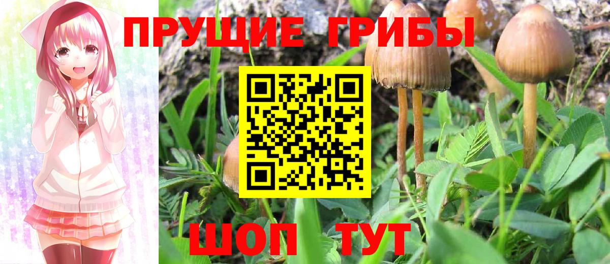 Галлюциногенные грибы MAGIC MUSHROOMS  закладки  Рыбинск  Вход с VPN 